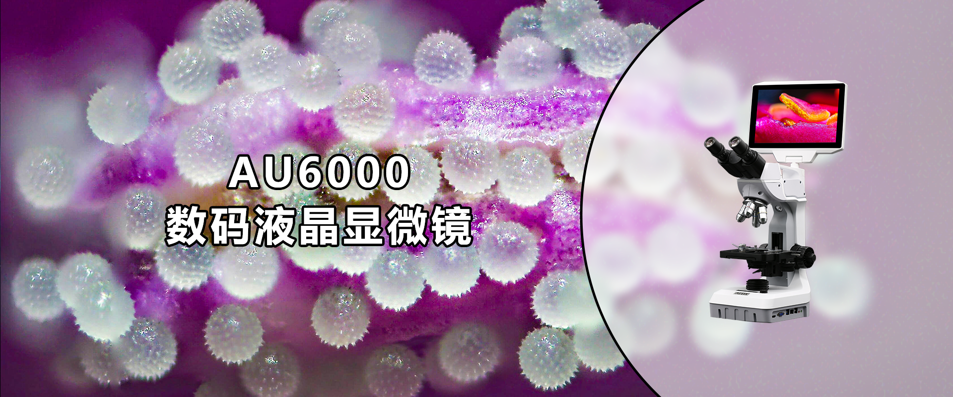 PC端幻灯二