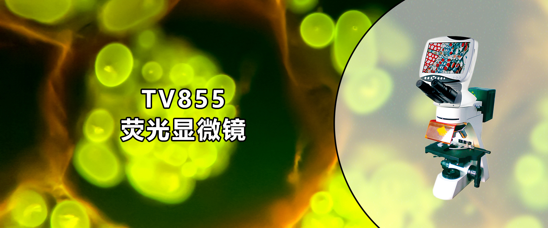 PC端幻灯一